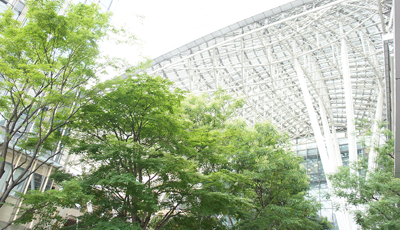 澳门京葡新 すぐにLi Chengfengは再び倒れ、再び昏睡状態に陥りました。